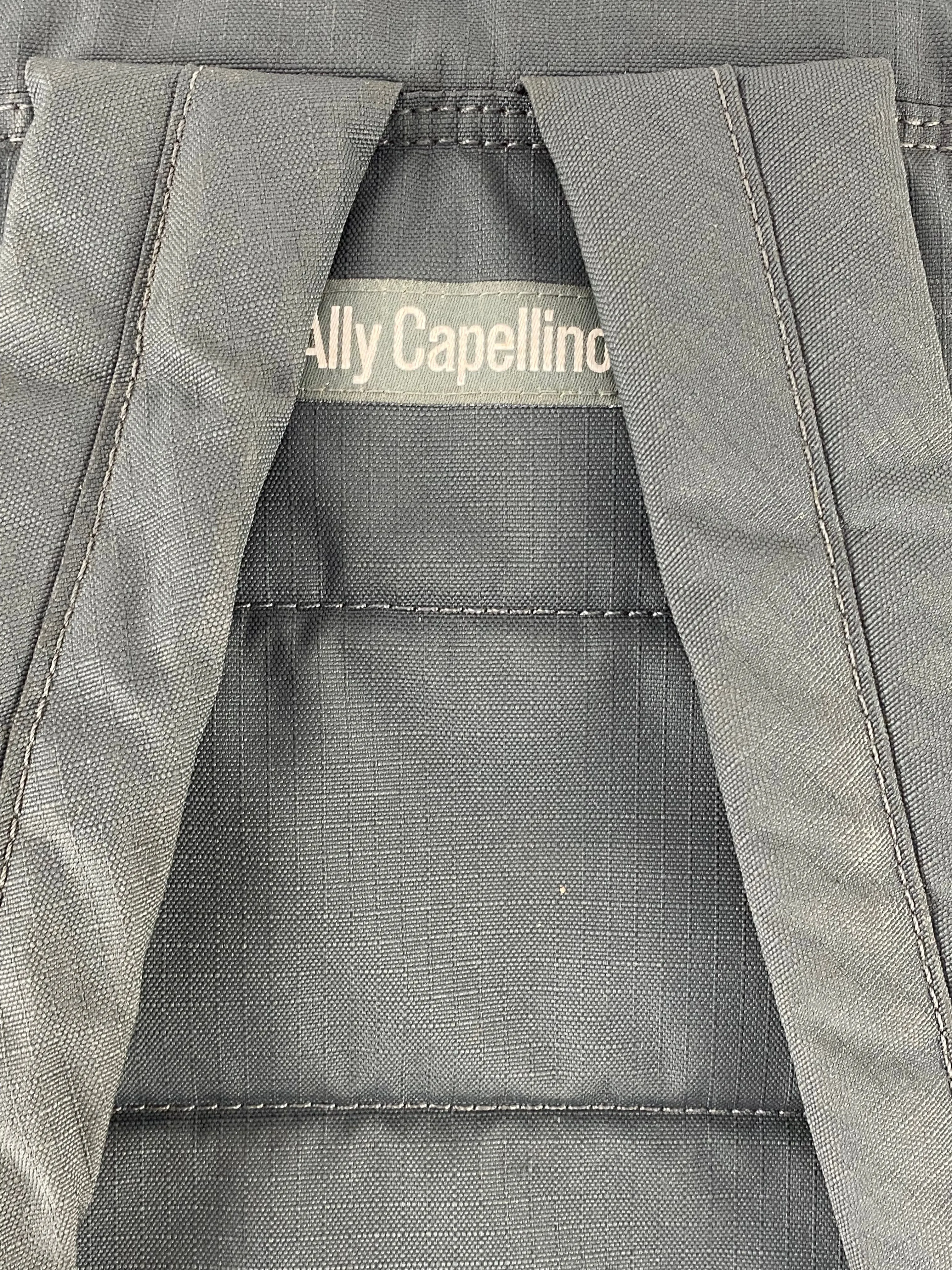 Ally Capellino Grey Backpack