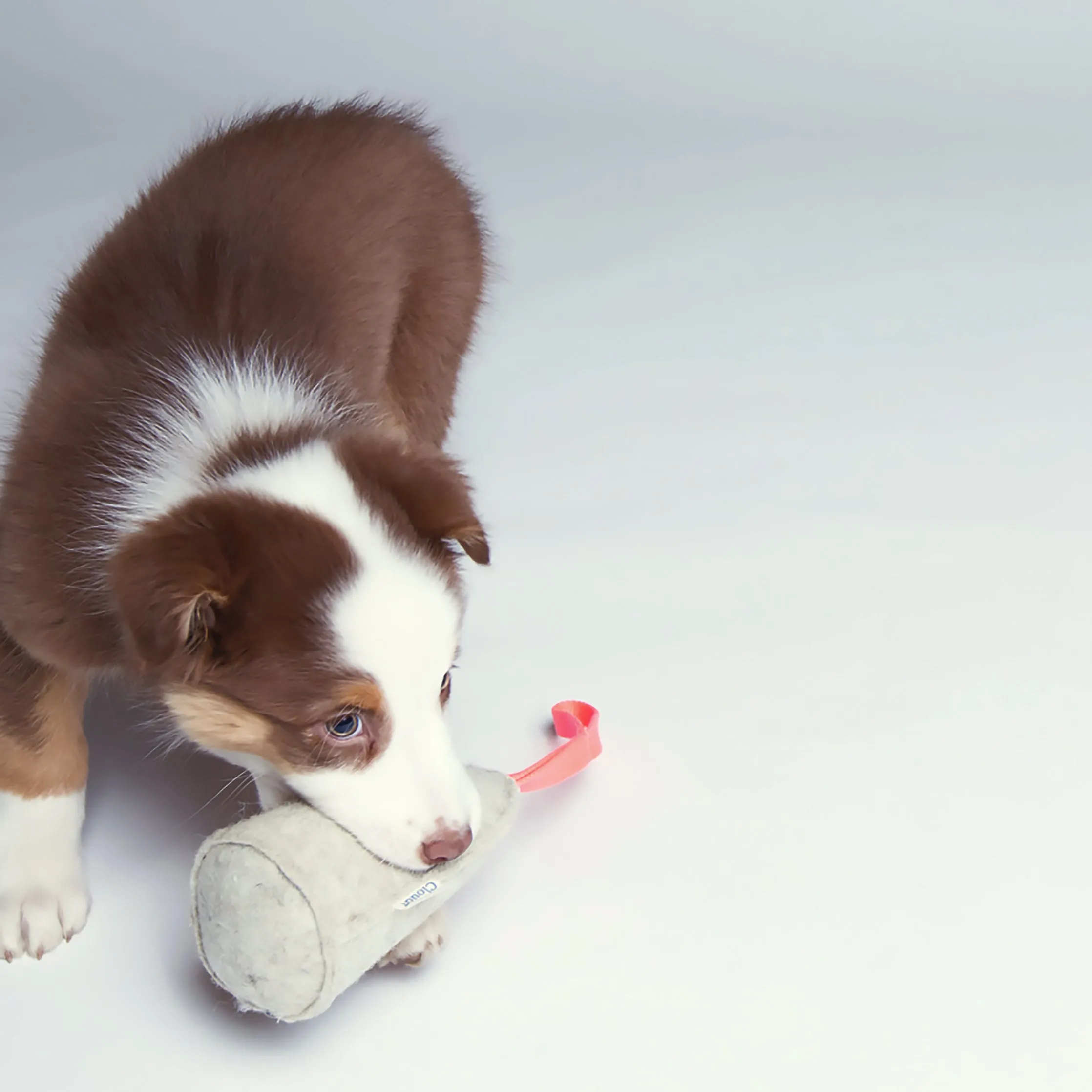 Cloud7 Dog Toy Felt Cone