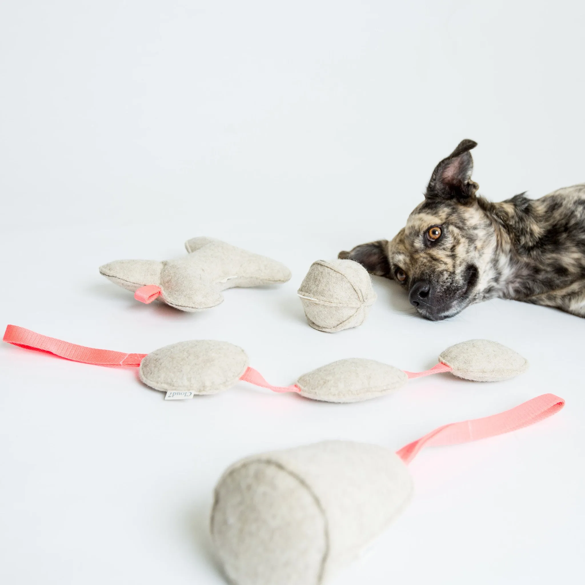 Cloud7 Dog Toy Felt Cone