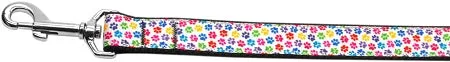 Confetti Paws Nylon Dog Leash 5-8 Inch Wide 4ft Long