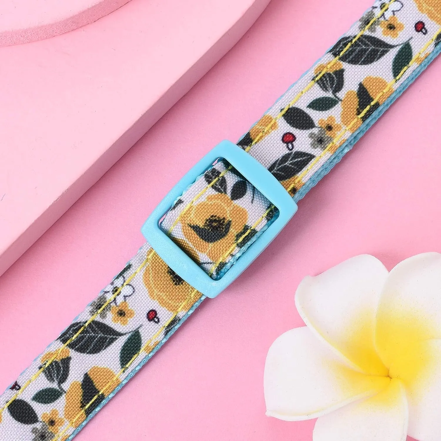 Cute Dog Collar Lightweight