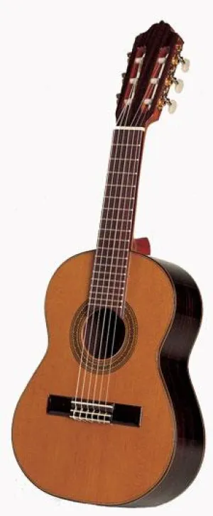 Esteve 3G740 Guitar