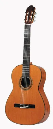 Esteve 7SM Guitar