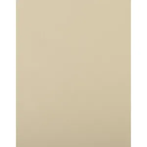 Felt 9 x 12 Beige