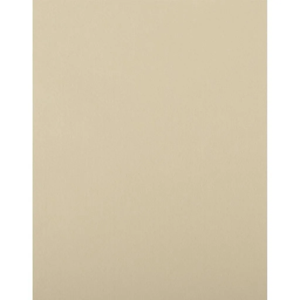 Felt 9 x 12 Beige