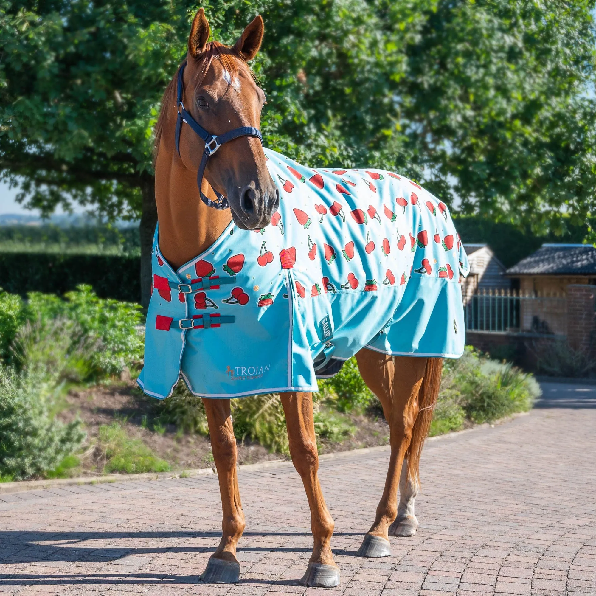 Gallop Berry Print 0g Standard Turnout Rug