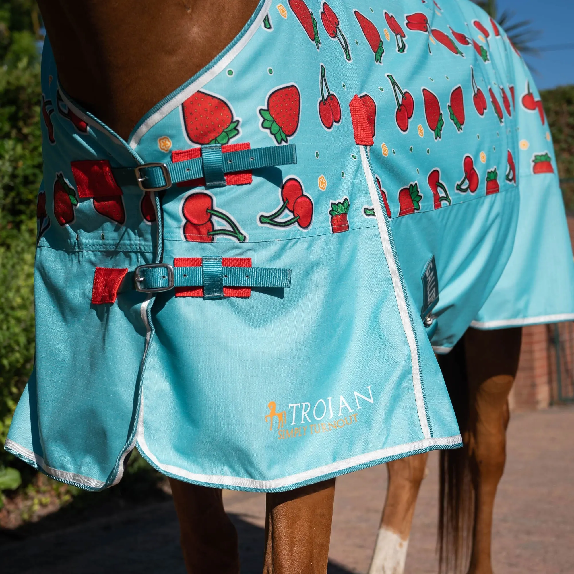 Gallop Berry Print 0g Standard Turnout Rug