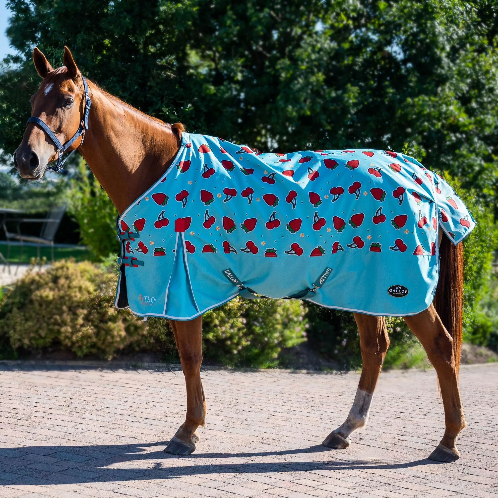 Gallop Berry Print 0g Standard Turnout Rug