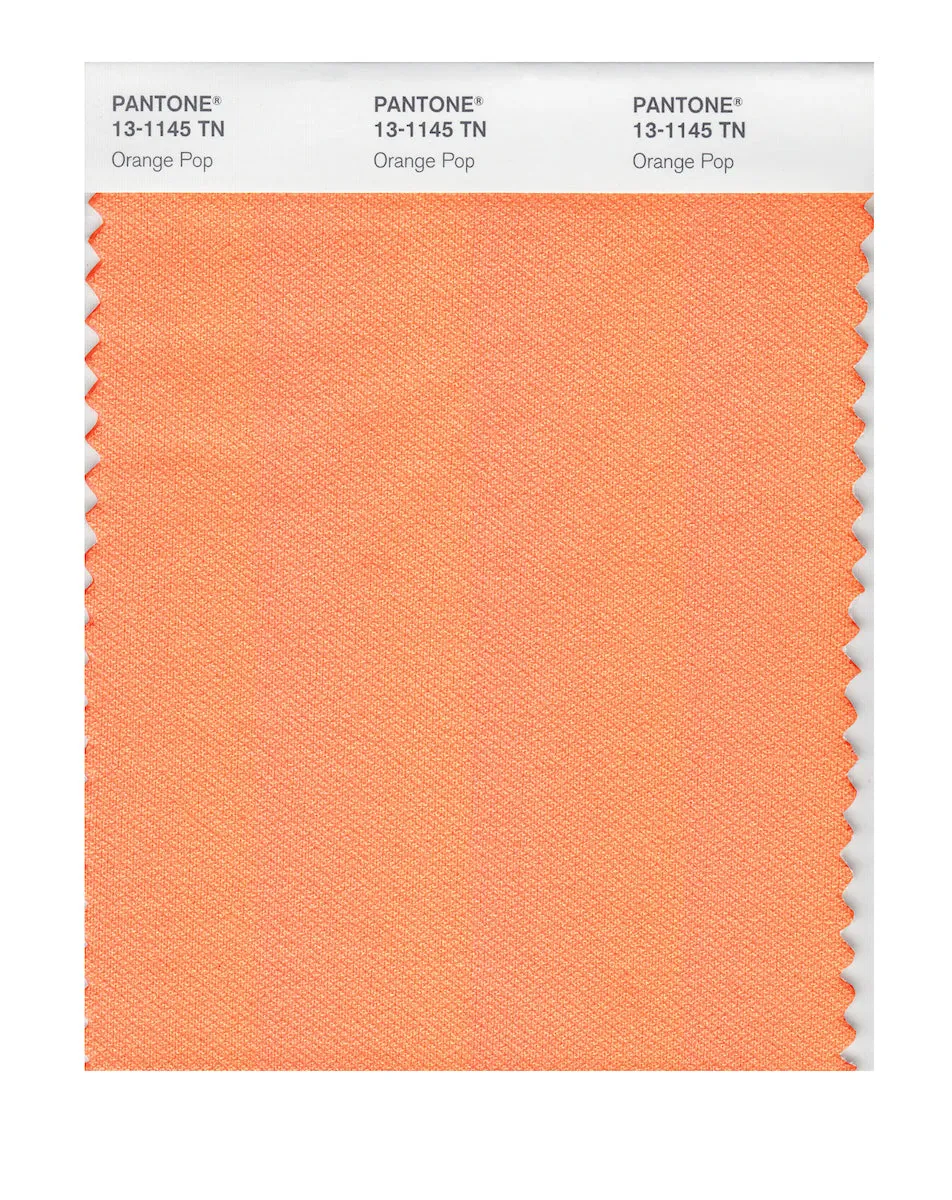 Pantone Nylon Brights Swatch Card 13-1145 TCX (Orange Pop)